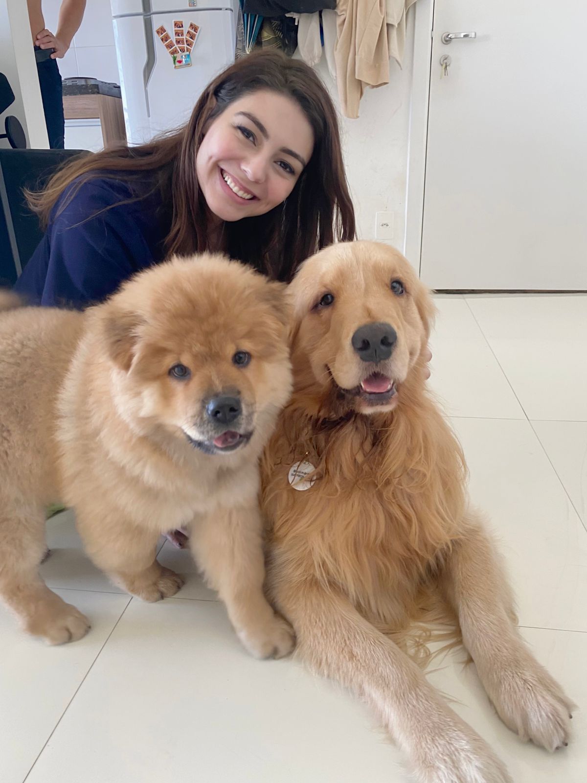 Pets felizes e saudáveis